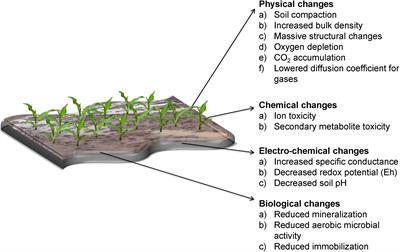 Soil and Crop Management Practices to Minimize the Impact of Waterlogging on Crop Productivity